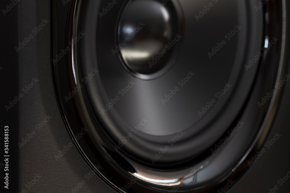 Black speaker of an acoustic monitor close-up.