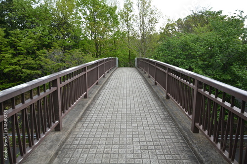 Fototapeta Naklejka Na Ścianę i Meble -  公園の橋