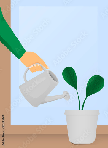 A hand holds a watering can and watered a flower. Vector illustration isolated. Art for the design of sites, banners, labels, covers.