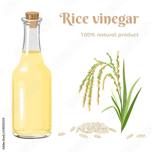 Rice vinegar in glass bottle, ear of rice and grains Isolated on white background. Seasoning vector illustration in cartoon flat style.