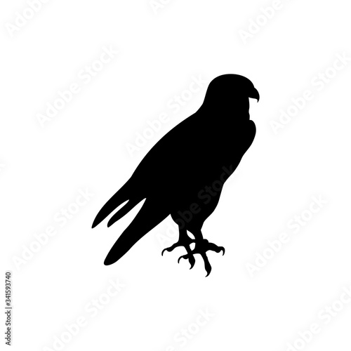 Falcon bird icon on white background