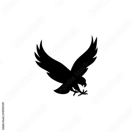 Falcon bird icon on white background