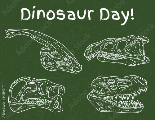Dinosaur day in school. Preschool paleontology day. Carnivorous and herbivorous fossils drawn on green chalkboard. Dino skulls line hand drawn sketch vector image set