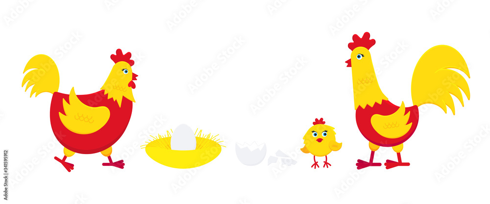 Yellow and red chicken with broken egg, nest, rooster cock and little chick flat style design vector illustration. Chicken farming poultry icon signs. Domestic birds isolated on white background.