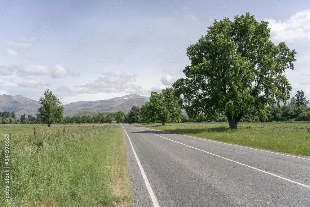 landscape with straight road in  green countryside, near Fairlie, New Zealand