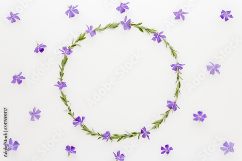 Minimal style photography. Green branch circle and flowers, natural creative composition top view background with copy space for your text. Flat lay. © siggi1956