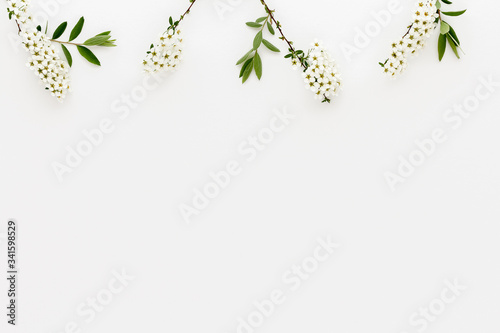 Minimal style photography. White flowers with green leaves, natural creative composition top view background with copy space for your text. Flat lay.