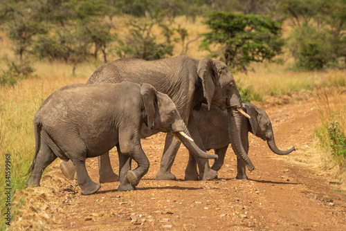 Three African elephants cross dirt road together