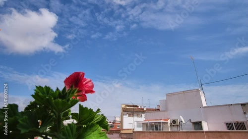 Timelapse 4k in the city with plants white clouds blue sky in Valencia, Spain.