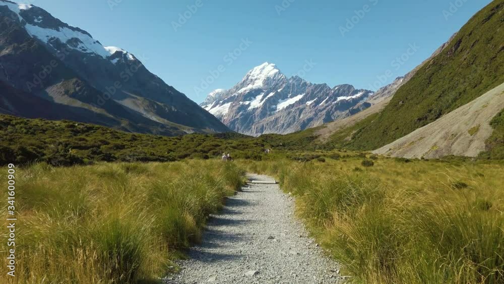 Walking on Trail Towards Snow Capped Mountain with Tall Grass, Slow Motion, POV