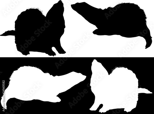 polecat silhouettes isolated on white and black background