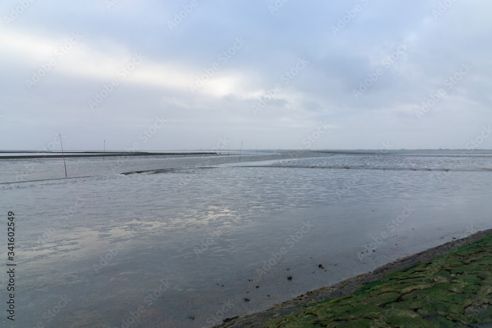 Obraz premium Ebbe im Wattenmeer, Husumer Au, Husum, Nordfriesland, Schleswig-Holstein, Deutschland, Europa