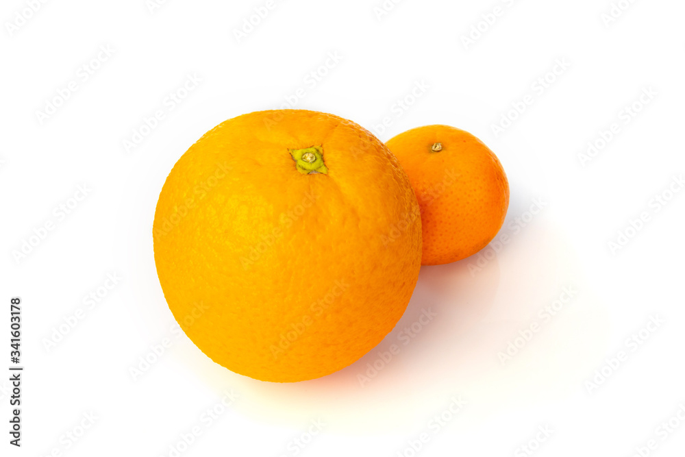 mandarin and orange isolated white mandarin and orange isolated white
