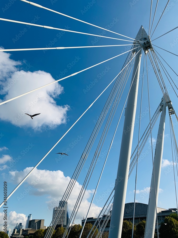 Gulls fly passed struts of a suspension bridge in London Gulls fly passed struts of a suspension bridge in London