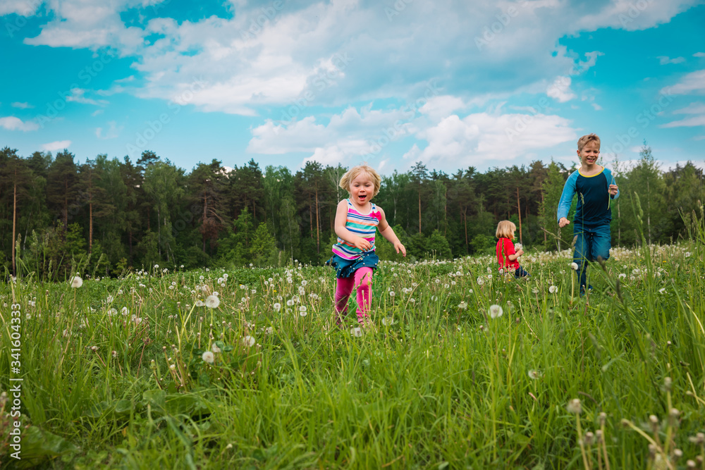 happy kids run and play in summer nature, brother and sisters have fun