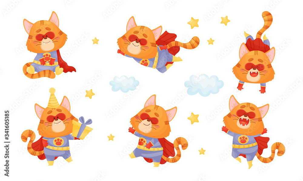 Obraz premium Superhero Cat Wearing Red Cloak and Mask Flying and Holding Gift Box Vector Set
