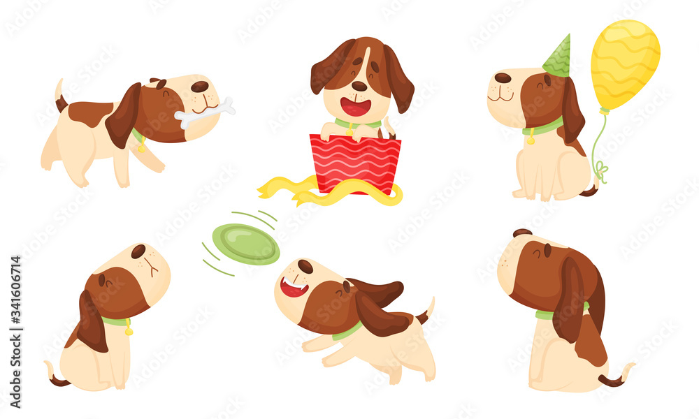 Fototapeta premium Cute Spotted Puppy Wriggling the Tail and Playing Frisbee Vector Set