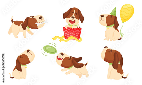 Cute Spotted Puppy Wriggling the Tail and Playing Frisbee Vector Set