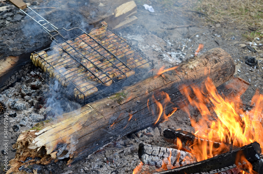 Grilled parts of chicken on the grill. Cooking meat on coals Grilled parts of chicken on the grill. Cooking meat on coals