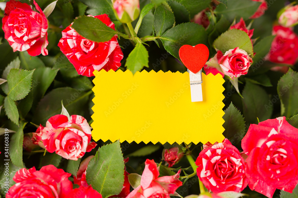 Blank yellow greeting card on spray red roses bouquet. Space for text. Copy space. Top view. Close-up.