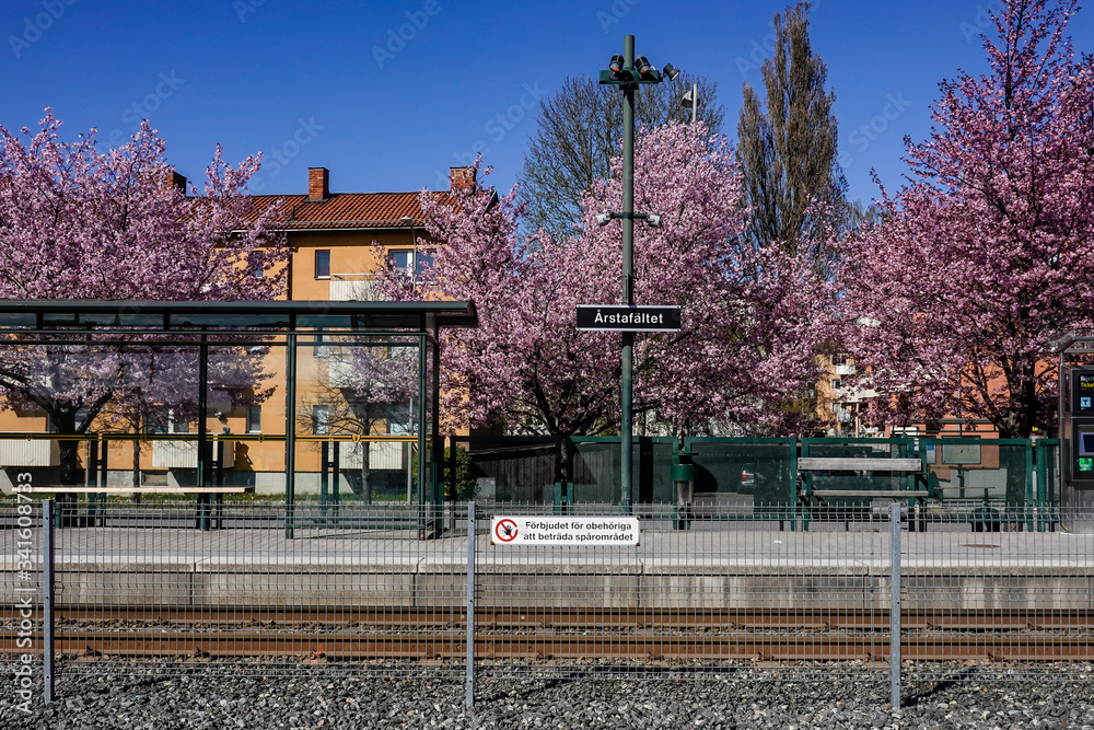 Stockholm, Sweden The Arstafaltet tram stop and cherry blossoms.