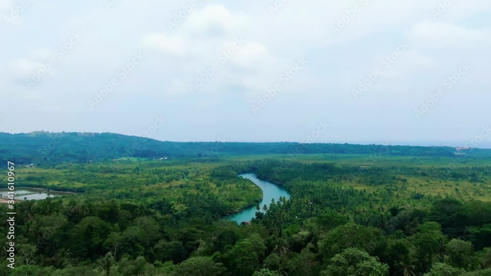 drone aerial view flying between trees reveling and epic earthy view of a huge natural river in the middle of the ocean surrounded by healthy grass and tall palm trees drone aerial view flying between trees reveling and epic earthy view of a huge natural river in the middle of the ocean surrounded by healthy grass and tall palm trees