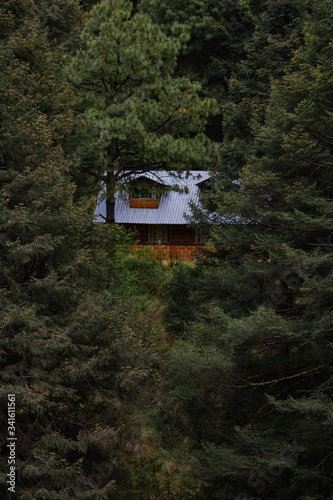 A secluded cabin in the woods