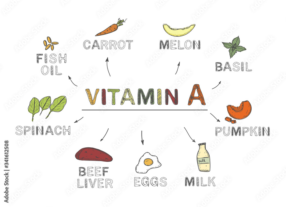 Vitamin A, infographics. Foods rich in vitamin A. natural products, vegetables on white background. Healthy lifestyle concept Vitamin A, infographics. Foods rich in vitamin A. natural products, vegetables on white background. Healthy lifestyle concept