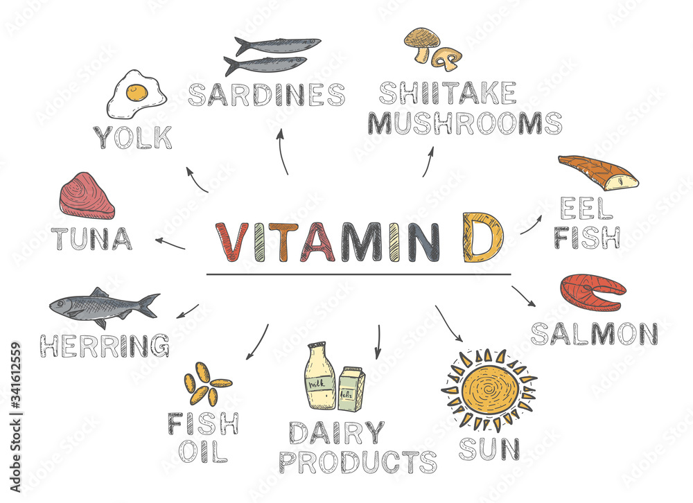 Vitamin D, infographics. Foods rich in vitamin D. natural products on white background. Healthy lifestyle concept