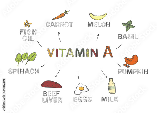 Vitamin A, infographics. Foods rich in vitamin A. natural products, vegetables on white background. Healthy lifestyle concept