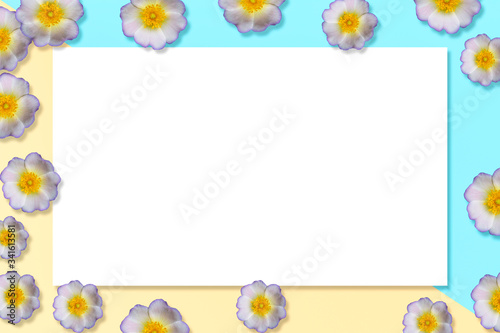 Purple colored spring blooming flowers with blank copy space for your message.