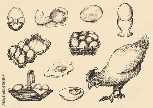 Graphic illustrations of poultry farm goods in vector. Hand drawn set of hennery production in engraving style.