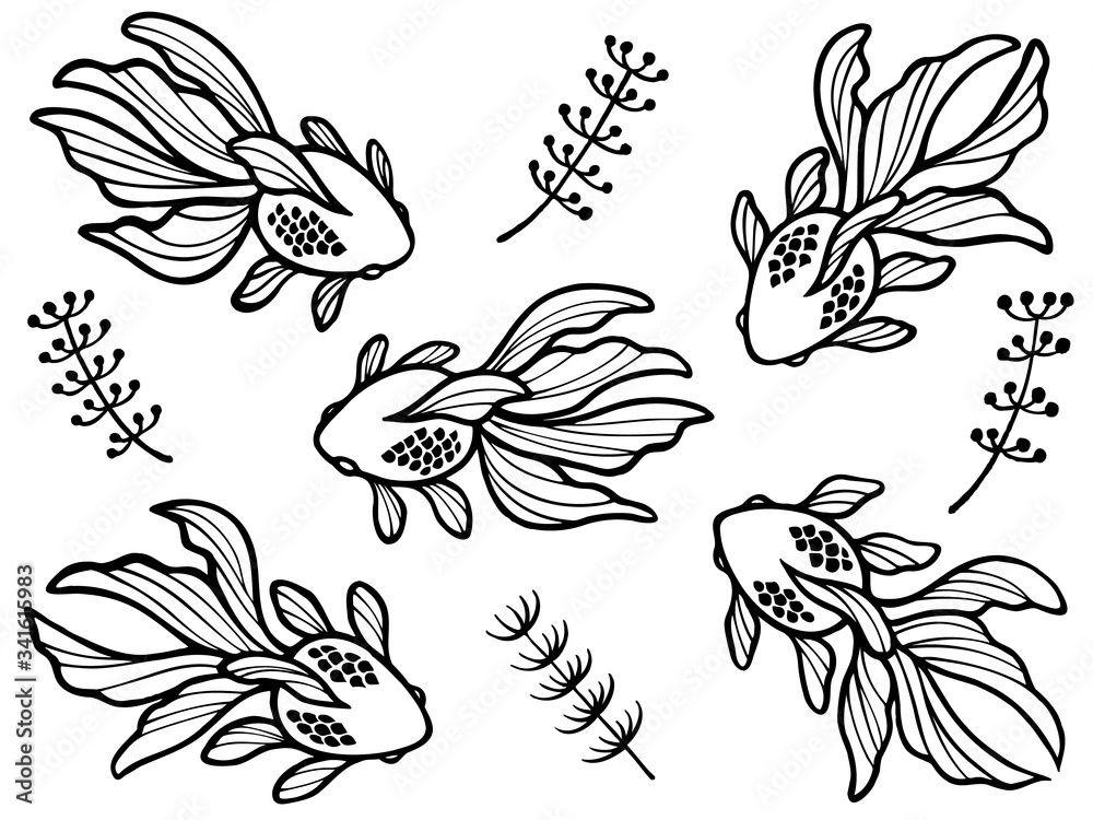 金魚と水草の線画イラストセット 金魚と水草の線画イラストセット