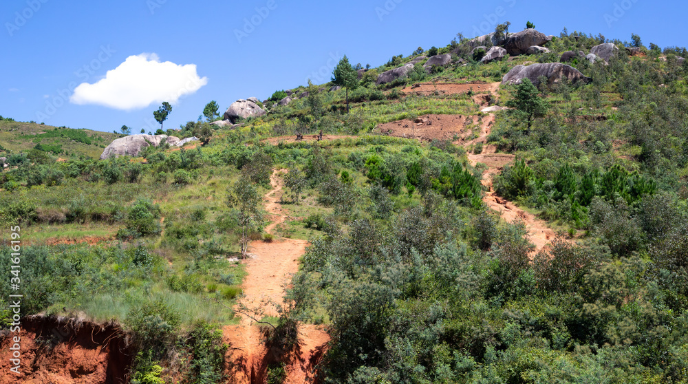 Landscape shots of green fields and landscapes on the island of Madagascar