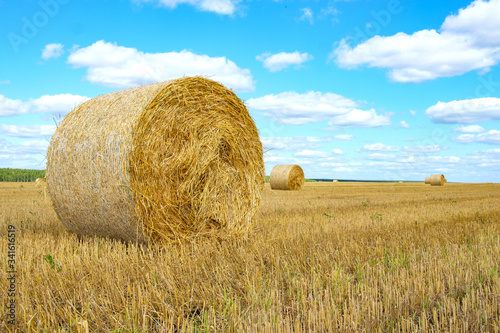 hay wrapped in a bale lies in a field under a blue sky with clouds