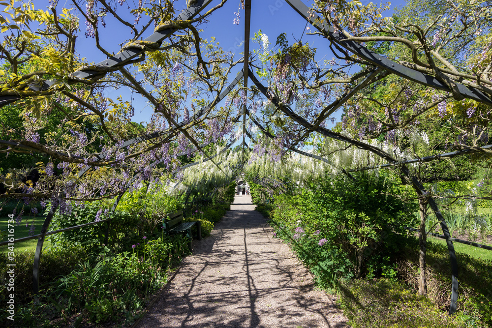 Cheverny castle and gardens in Loire valley (France)