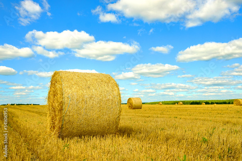 dry hay in a roll against the blue sky on the field
