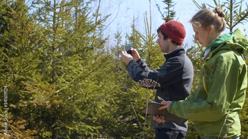 Two eco activists take pictures of fir trees in the forest and make notes on the paper. Conservationists protecting forest. Bright sunny spring day.