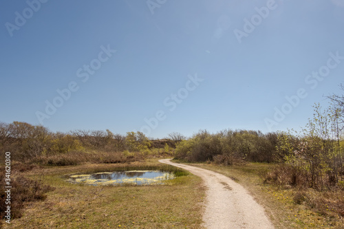 Fototapeta Naklejka Na Ścianę i Meble -  Shell path through an area with bushes and a puddle under a clear blue sky