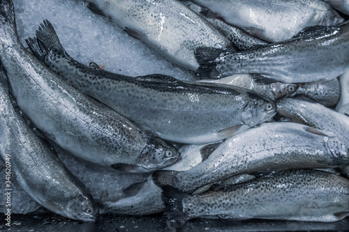 Trout, salmon in a box at the fishing market. Selling fresh food. Seafood, delicacy. Gourmet cuisine.