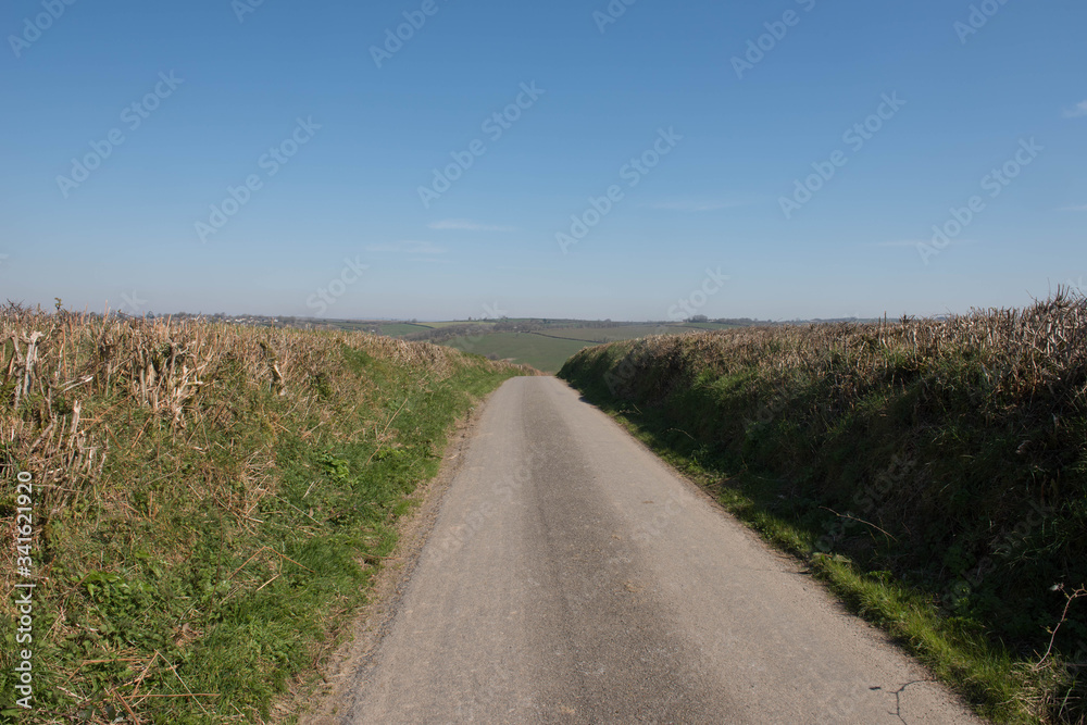Quiet Single Track Country Lane in Rural Devon, England, UK