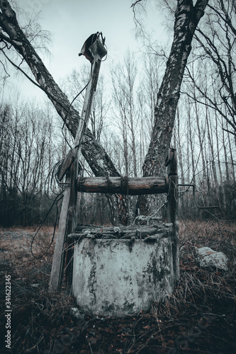 Fototapeta Naklejka Na Ścianę i Meble -  stara, zapomniana studnia pośród drzew