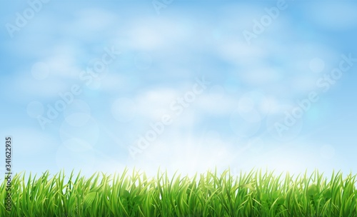 Field or meadow with green spring grass. Realistic horizontal landscape background with blue sky and lawn. Vector illustration.