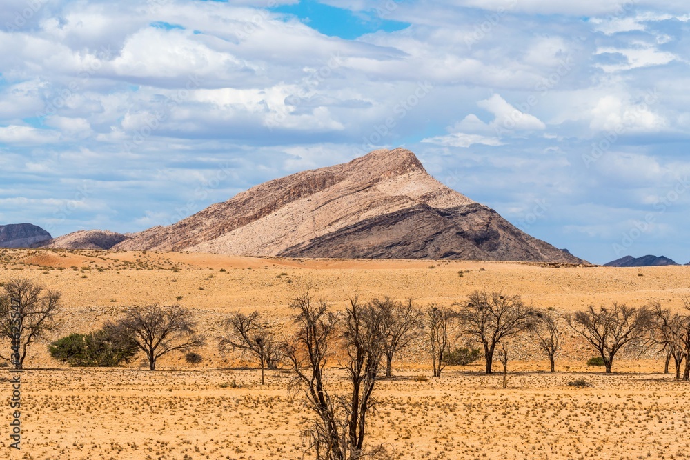 Fototapeta premium Landscape Namibia