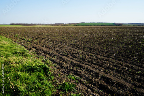 The field under crops in the spring. Plowed field, background for agricultural machinery 