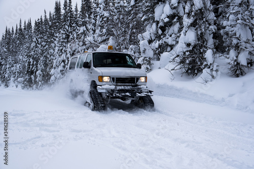 Truck with snowtrack in snowy forest.
