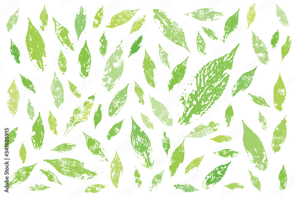 Mint leaves life prints in fresh spring colors. Basis graphics Mint leaves life prints in fresh spring colors. Basis graphics