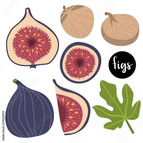 figs and dried figs, fig leaf isolated on white background. Vector illustration of fruits in a flat style. Natural sweets. Healthy food set.