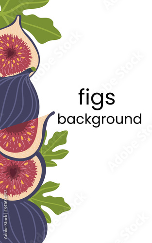 fig fresh tropic fruit banner. Cartoon color vector border, frame for design menus, cookbooks, cards, posters. Isolated illustration on a white background.