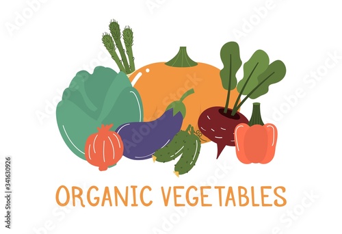 Fruits and vegetables banner vector illustration.